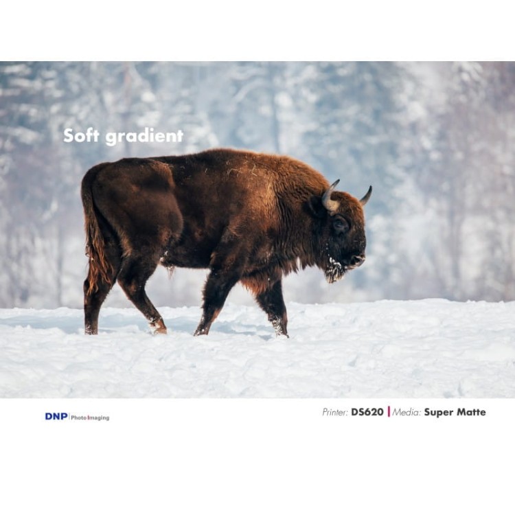 dnp-ds620-papier-10x1515x20cm-luxury-super-matte (2).jpg